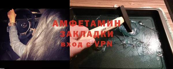 ПСИЛОЦИБИНОВЫЕ ГРИБЫ Новозыбков