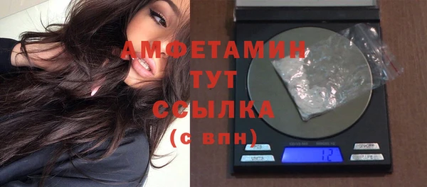 ПСИЛОЦИБИНОВЫЕ ГРИБЫ Новозыбков