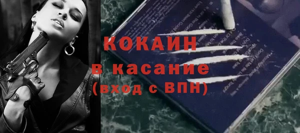 ПСИЛОЦИБИНОВЫЕ ГРИБЫ Новозыбков