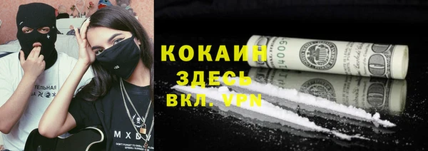 индика Новокубанск