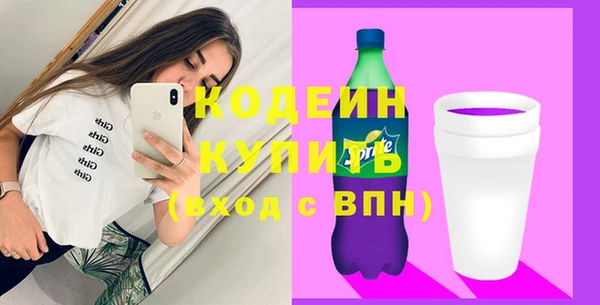 индика Новокубанск