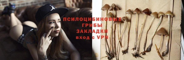 ПСИЛОЦИБИНОВЫЕ ГРИБЫ Новозыбков