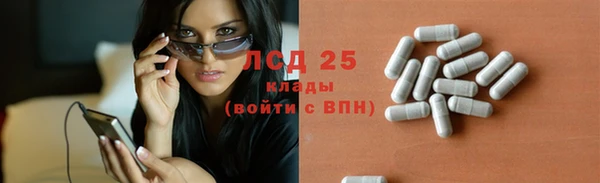индика Новокубанск
