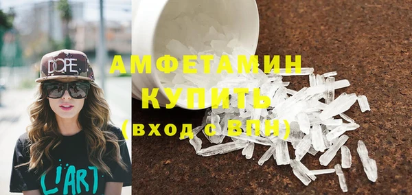 индика Новокубанск