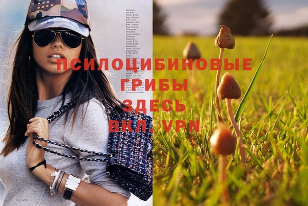 мяу мяу мука Новодвинск
