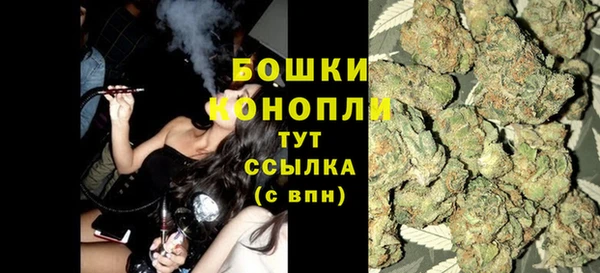 индика Новокубанск