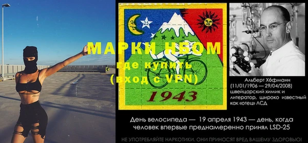 ПСИЛОЦИБИНОВЫЕ ГРИБЫ Новозыбков