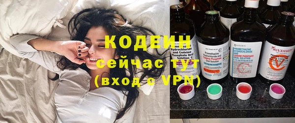 индика Новокубанск