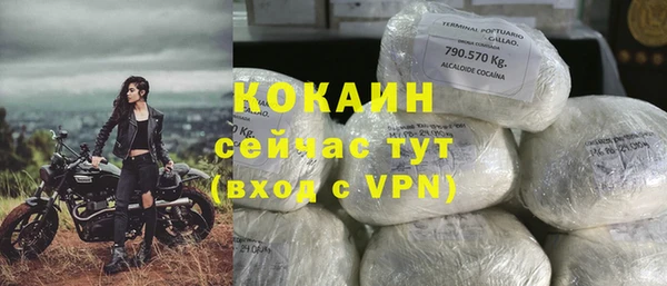 индика Новокубанск