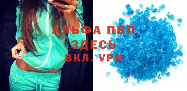 ПСИЛОЦИБИНОВЫЕ ГРИБЫ Новозыбков