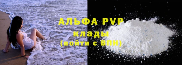 ПСИЛОЦИБИНОВЫЕ ГРИБЫ Новозыбков