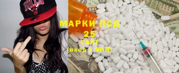 индика Новокубанск