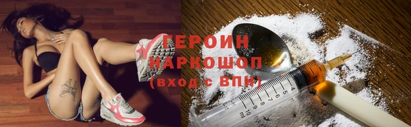 прущие грибы Каменногорск