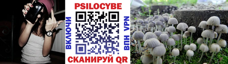 Псилоцибиновые грибы Psilocybe  где купить наркоту  Короча 