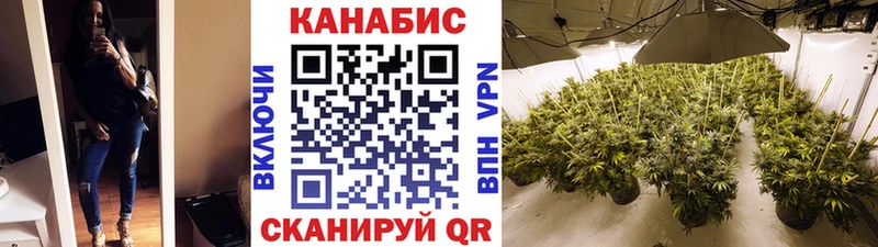 наркотики  Короча  Конопля сатива 